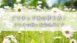 投稿についてもっと詳しく ソマチッド水の作り方など！ソマチの使い方完全ガイド