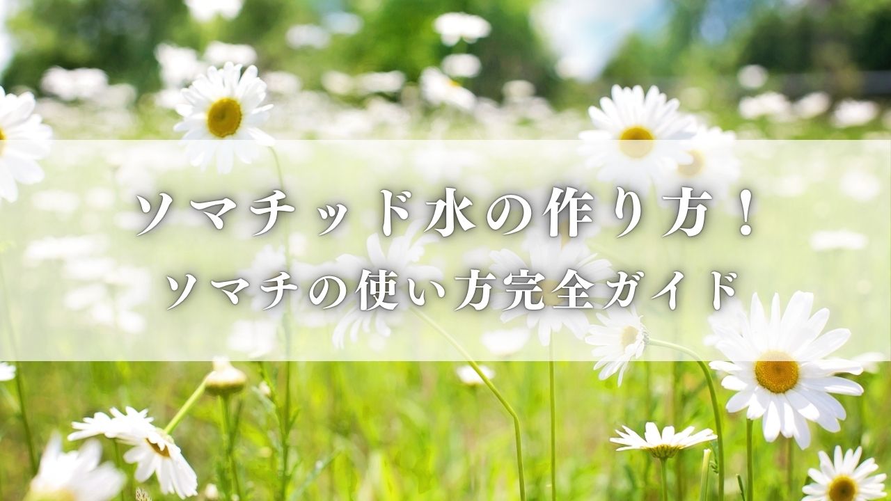 あなたが現在見ているのは ソマチッド水の作り方など！ソマチの使い方完全ガイド